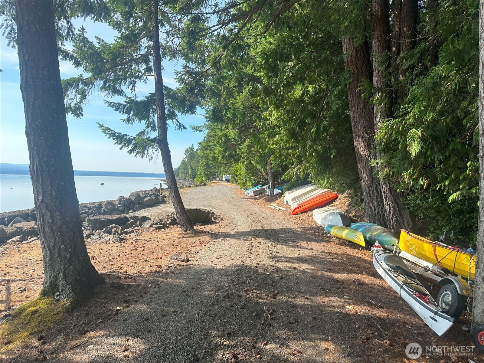 201 Tog Road Brinnon, WA 98320 - Photo 9 of 14 a view of a yard with a tree
