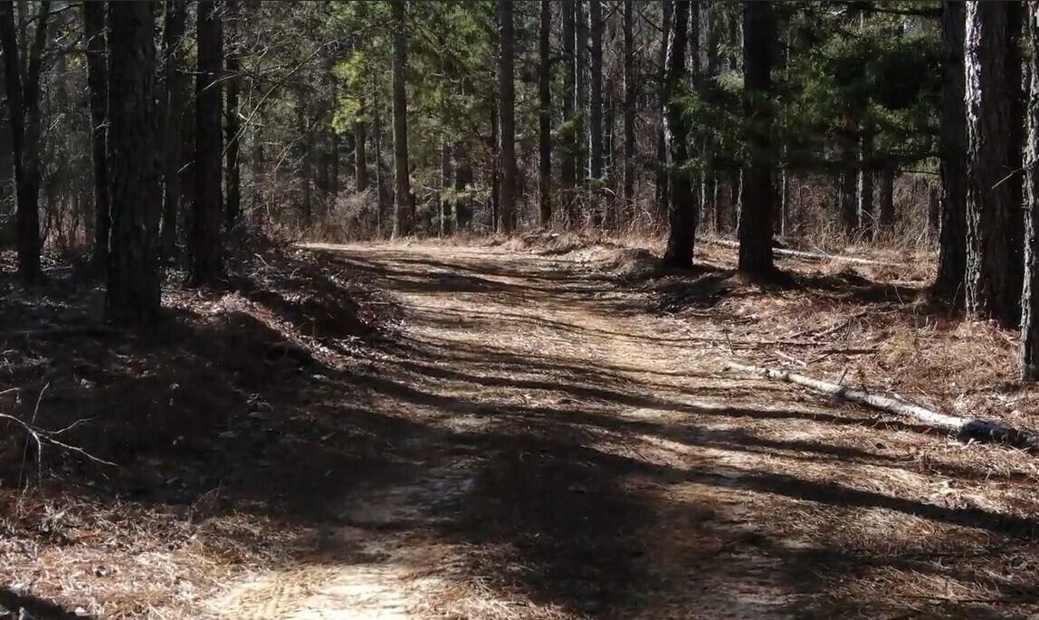 762 Co Road Walnut, MS 38683 - Photo 32 of 41 Screenshot 2025-02-19 100627