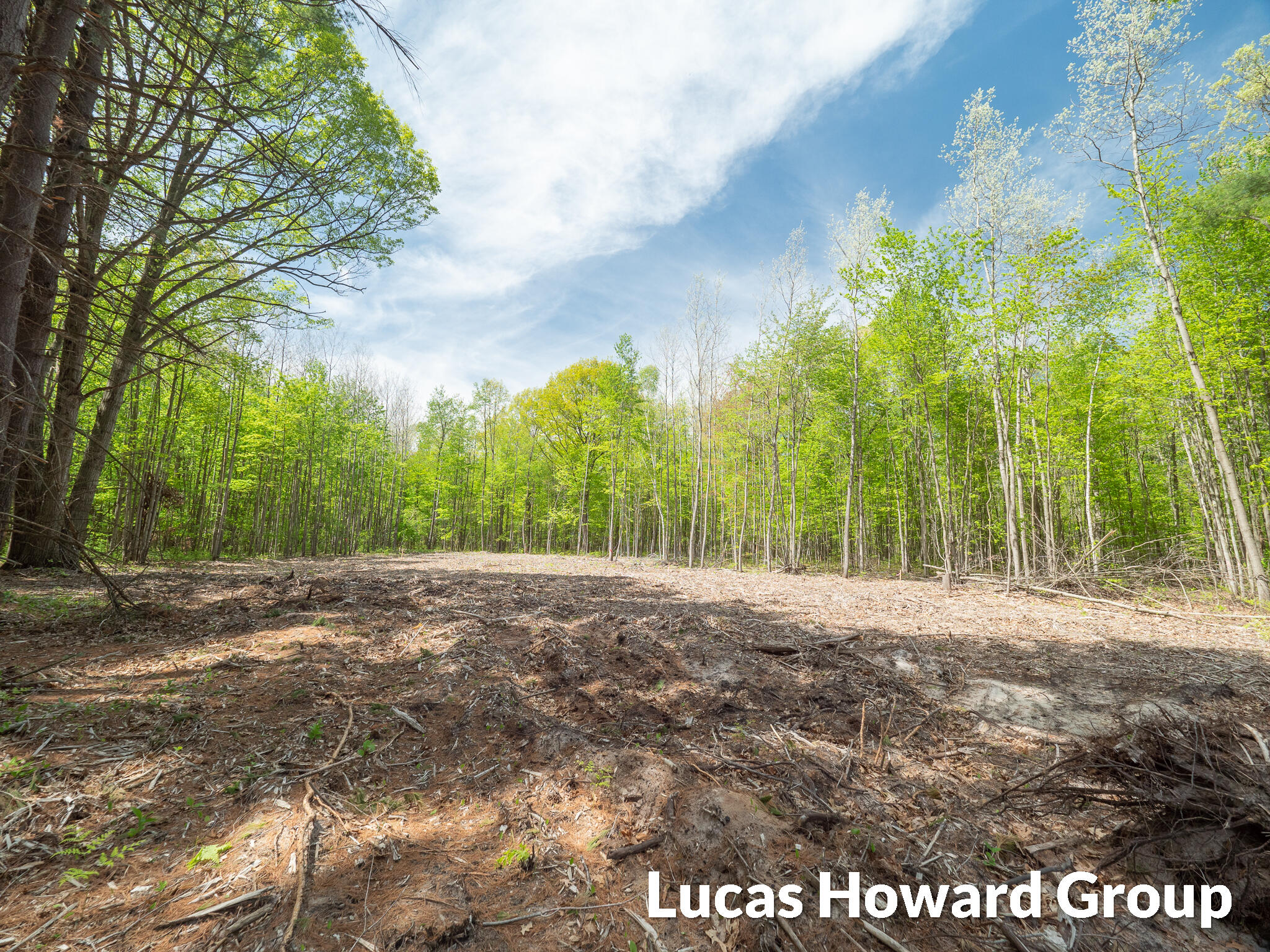 11264 East White Road Ravenna, MI 49451 - Photo 4 of 9 Left Lot