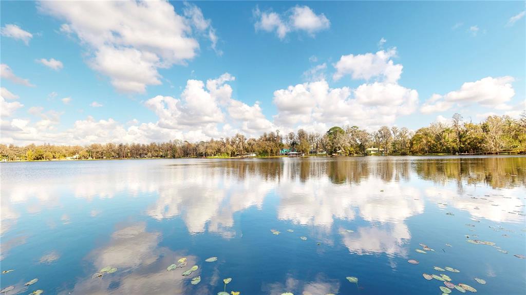 19803 Reading Road Lutz, FL 33558 - Photo 20 of 48 a view of a lake in between of city
