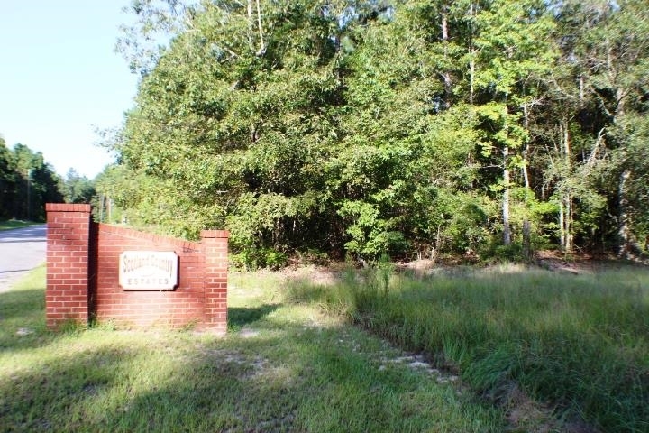 0 Scotland Road, Unit LOT # 63 Dublin, GA 31021 - Photo 1 of 1 Gallery Image 1