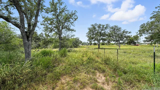 a view of a big yard and large trees