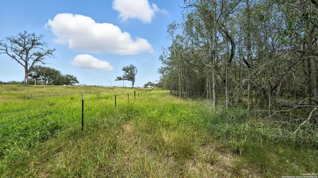 a view of a big yard with large trees