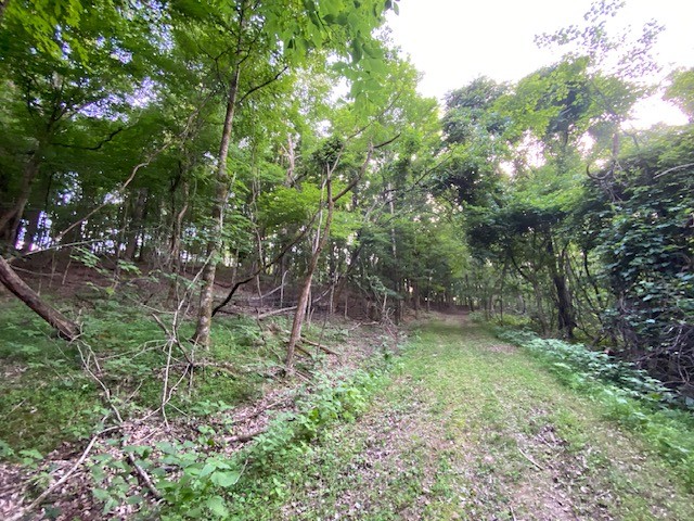 250 Hurt Road Hendersonville, TN 37075 - Photo 7 of 9 a backyard of a house with lots of green space and trampoline