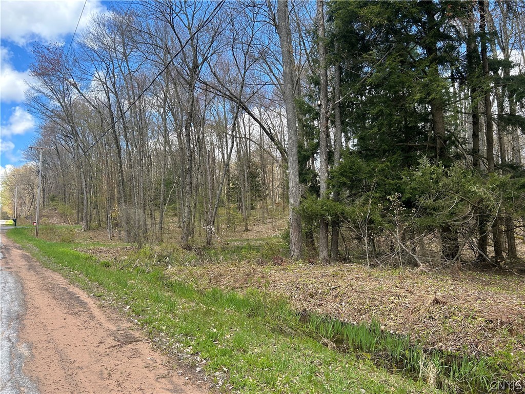 0 North Hillsborough Road Camden, NY 13316 - Photo 4 of 8