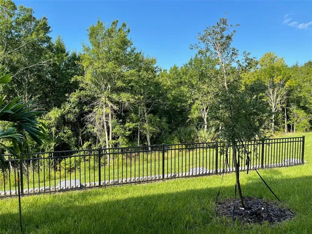 $2,049 | 16447 Bird Of Paradise Avenue, Clermont, FL 34714