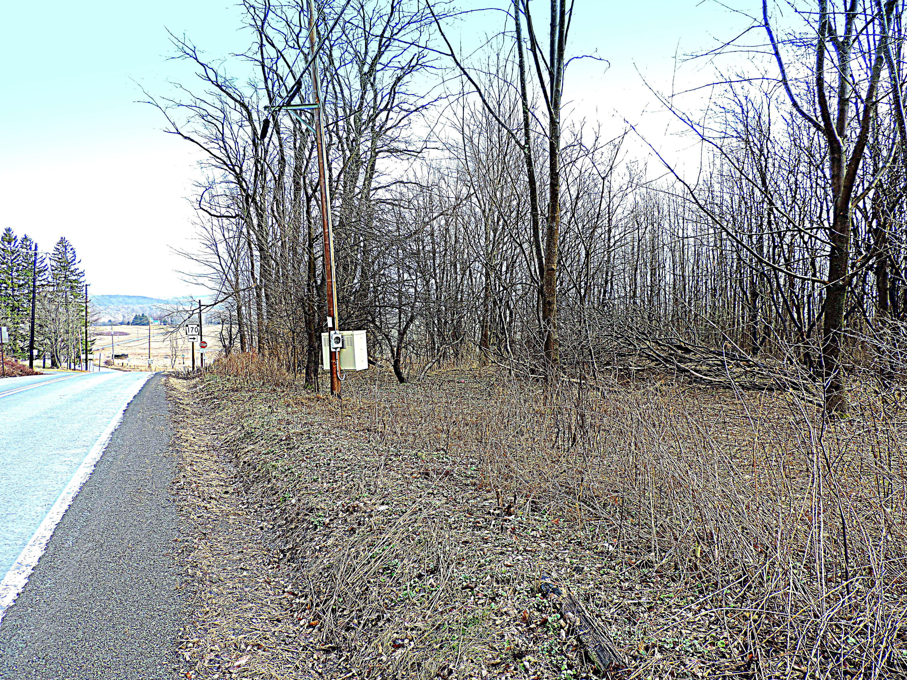 670 & Route Pleasant Mount, PA 18453 - Photo 12 of 20 20 Acs. Rte170 & 670
