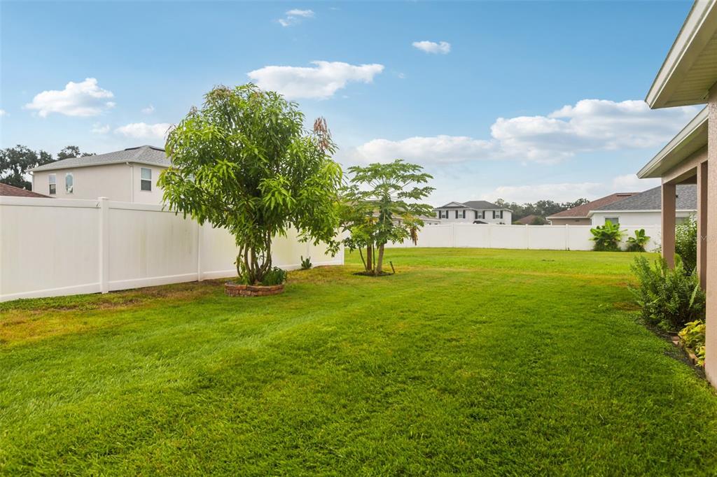 4248 Moon Shadow Loop Mulberry, FL 33860 - Photo 45 of 50