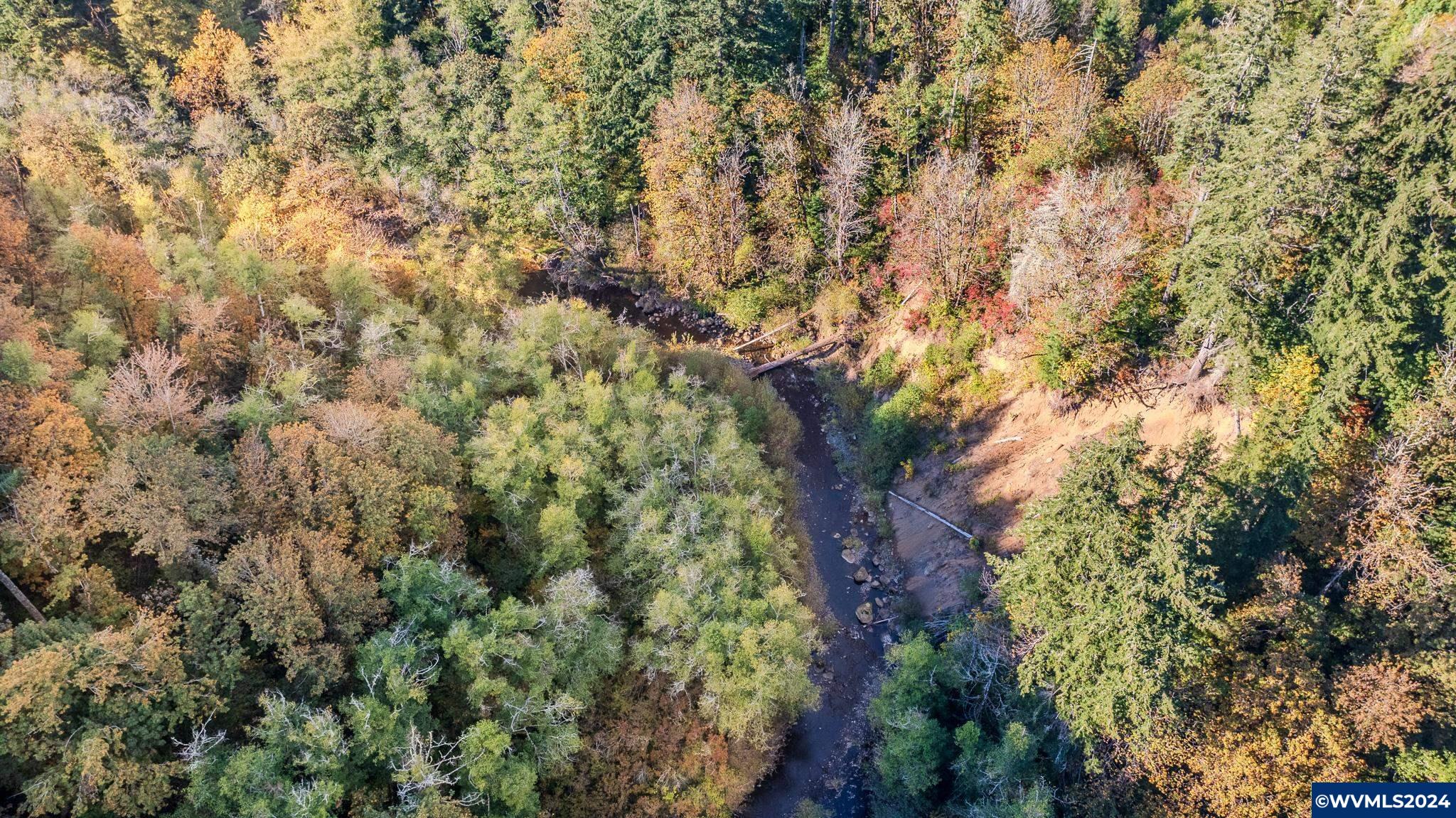 0 Abiqua Road Scotts Mills, OR 97375 - Photo 12 of 12