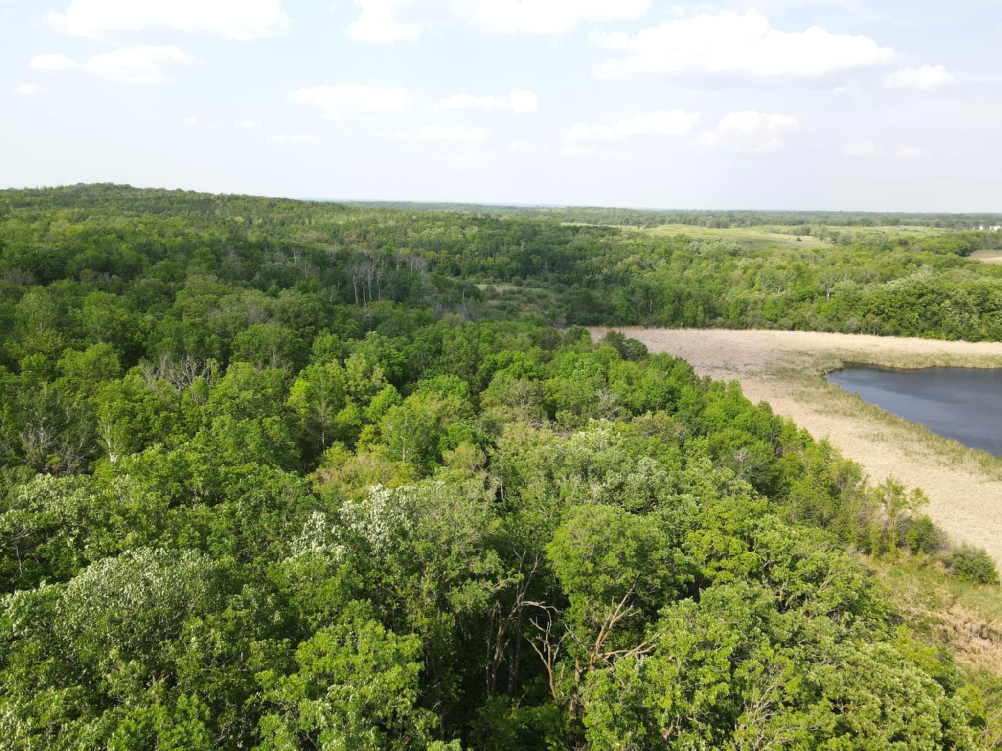 Parcel Tbd 250th Street Mahnomen, MN 56557 - Photo 4 of 22