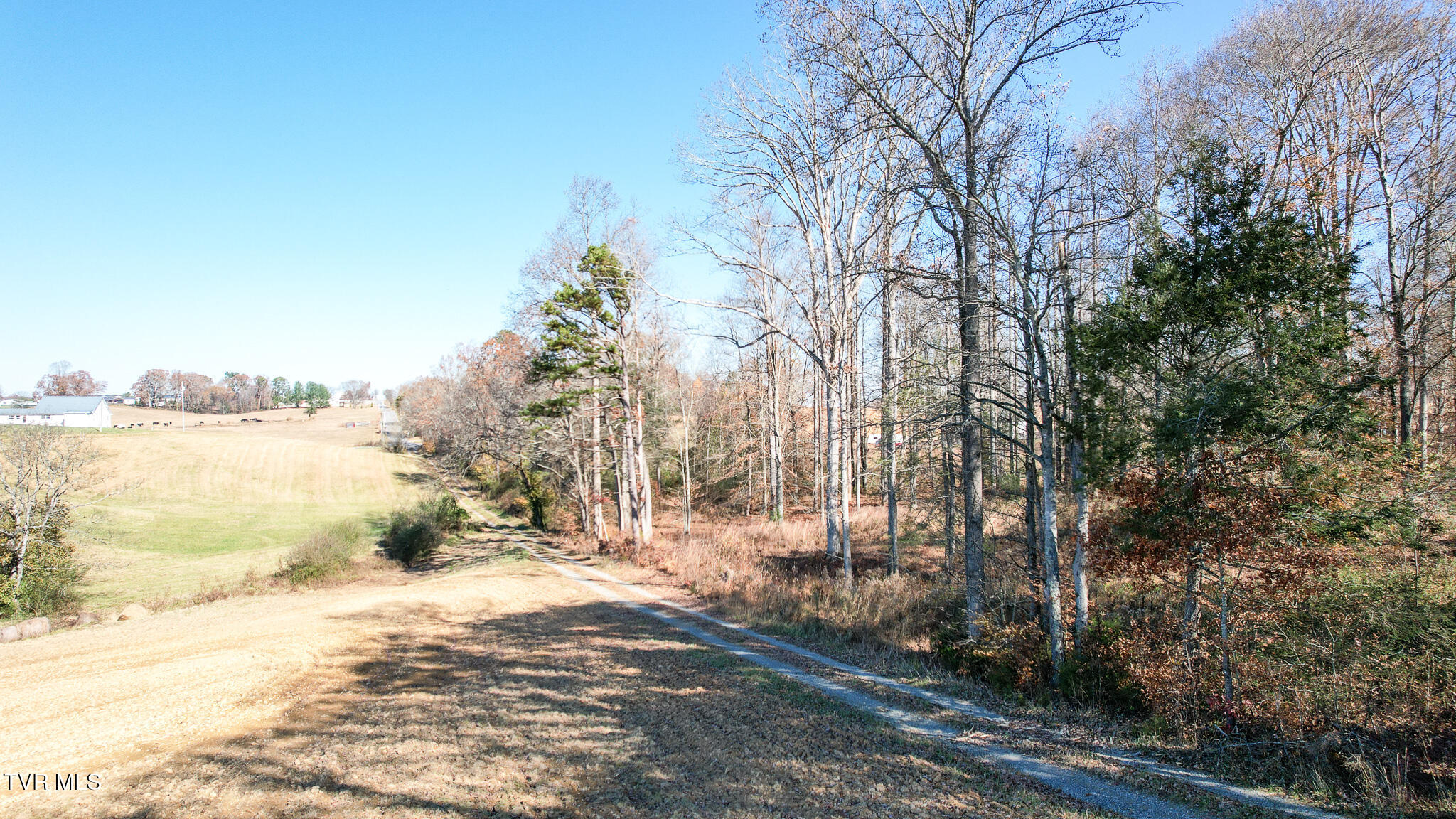 190 Treadway Road Chuckey, TN 37641 - Photo 26 of 34 DJI_0247