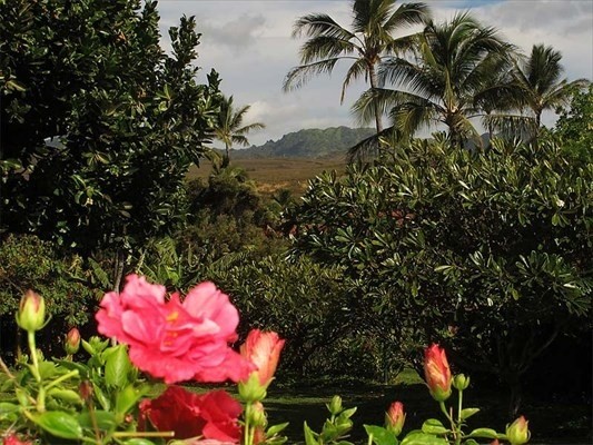 2370 Ho'ohu Road, Unit 411 Koloa, HI 96756 - Photo 14 of 14 Gallery Image 14