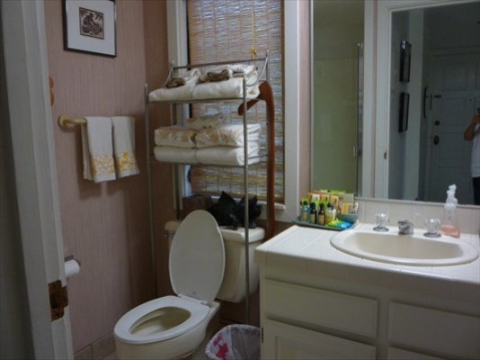 2370 Ho'ohu Road, Unit 411 Koloa, HI 96756 - Photo 8 of 14 Gallery Image 8