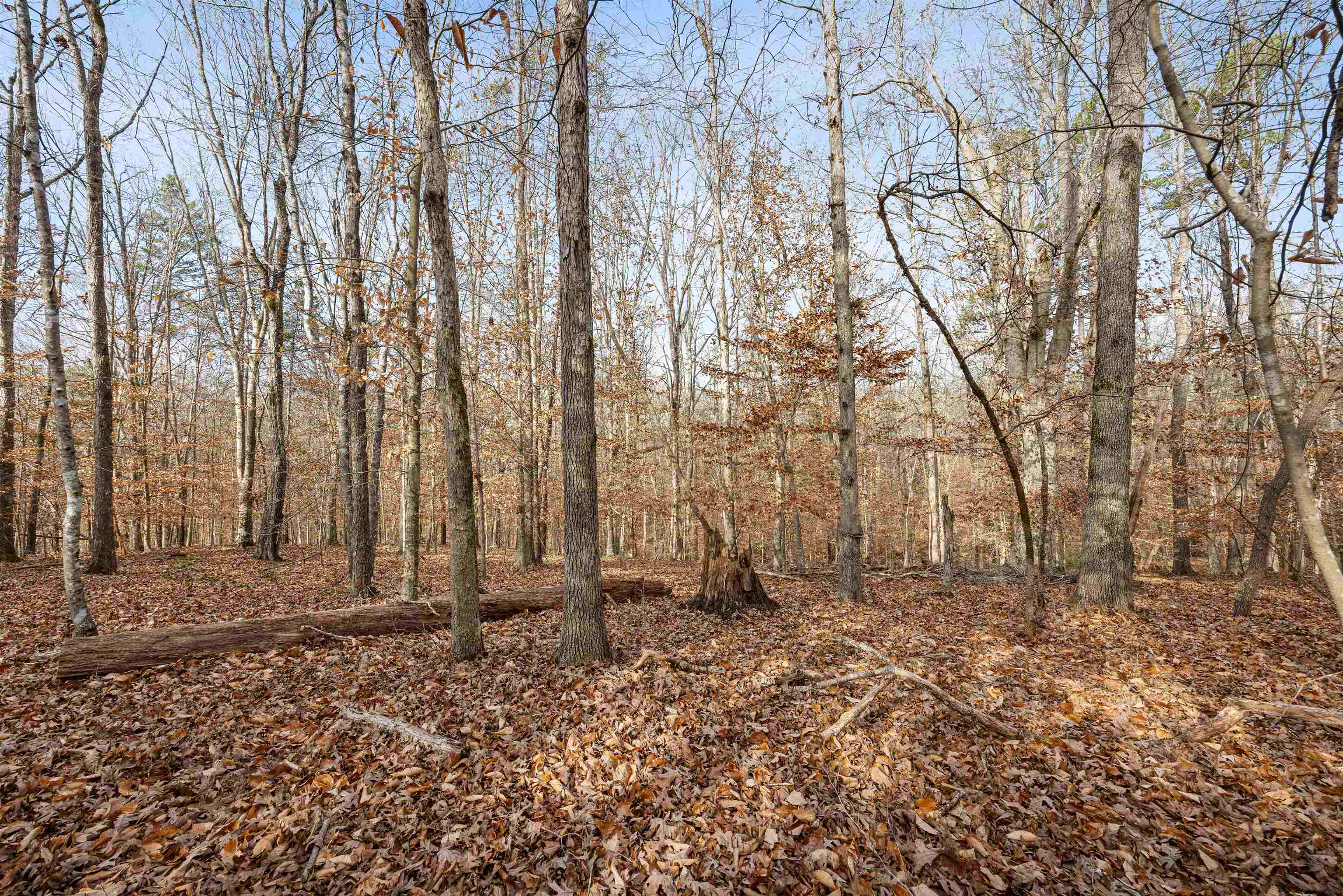 1330 Goldmine Road Spartanburg, SC 29307 - Photo 17 of 44