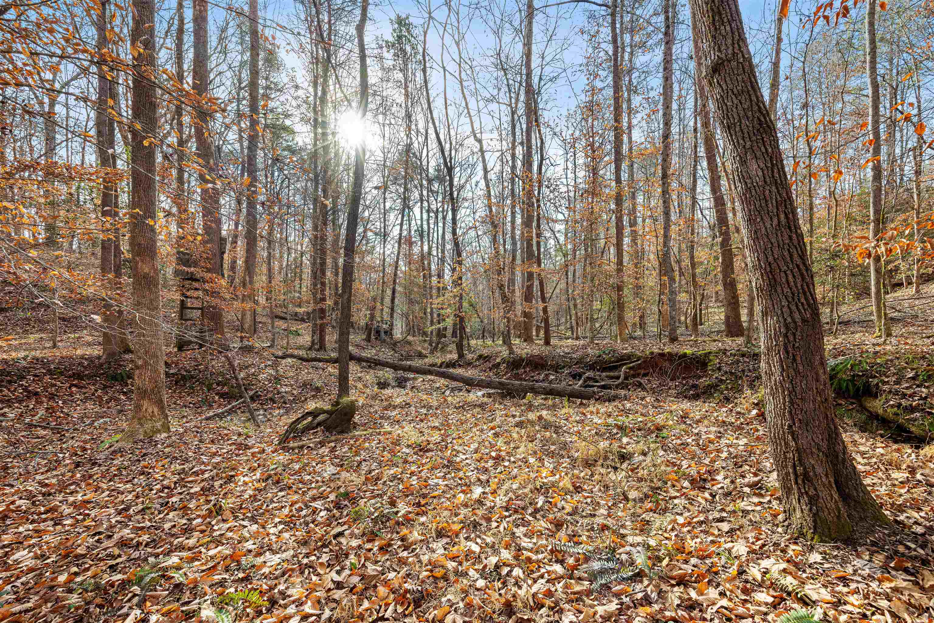 1330 Goldmine Road Spartanburg, SC 29307 - Photo 20 of 44