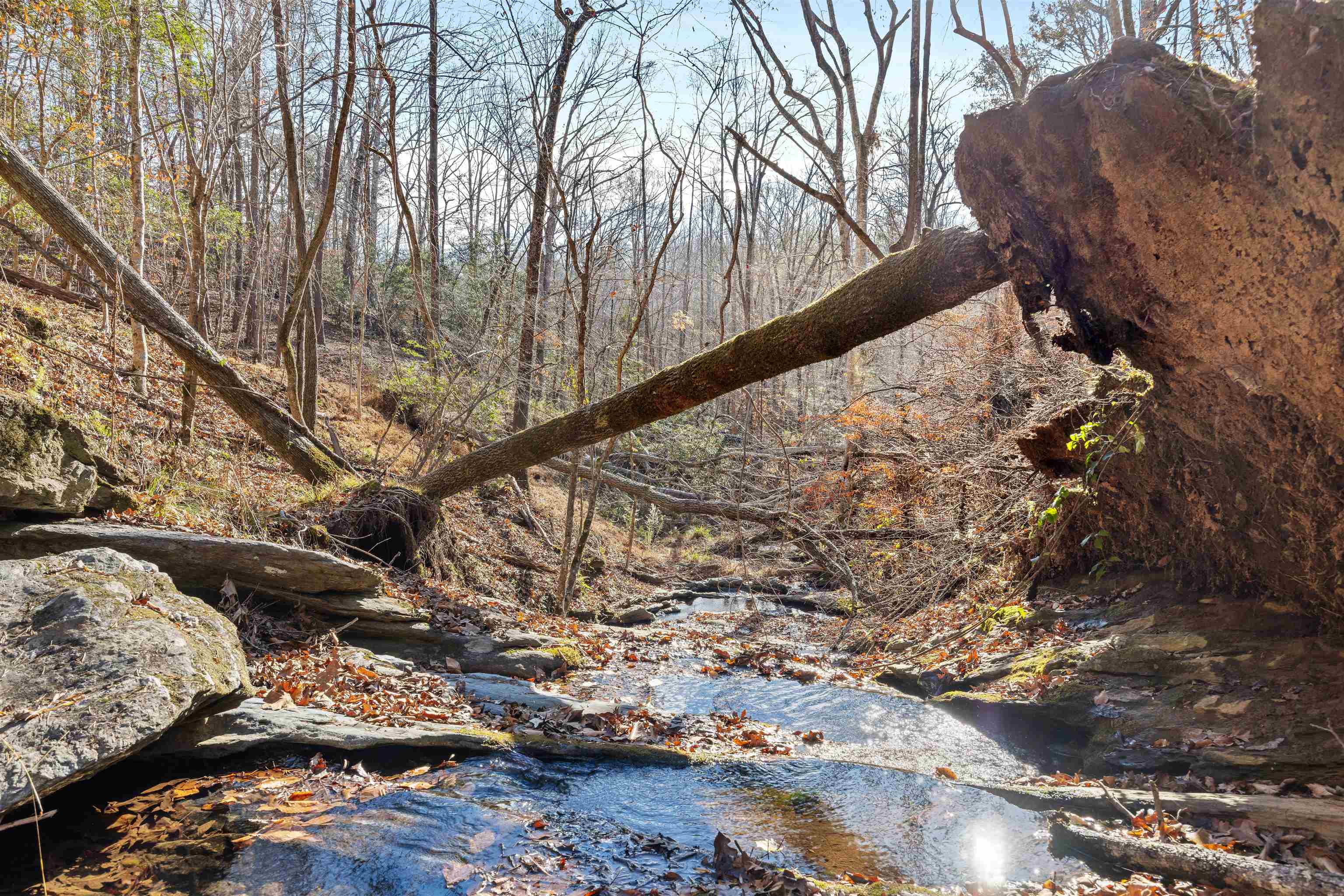 1330 Goldmine Road Spartanburg, SC 29307 - Photo 24 of 44