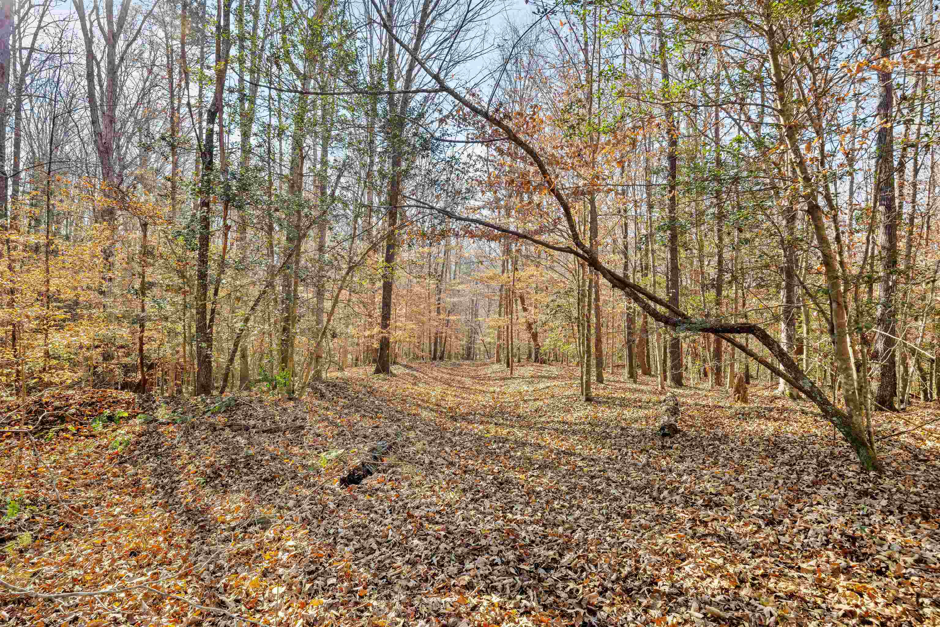 1330 Goldmine Road Spartanburg, SC 29307 - Photo 35 of 44