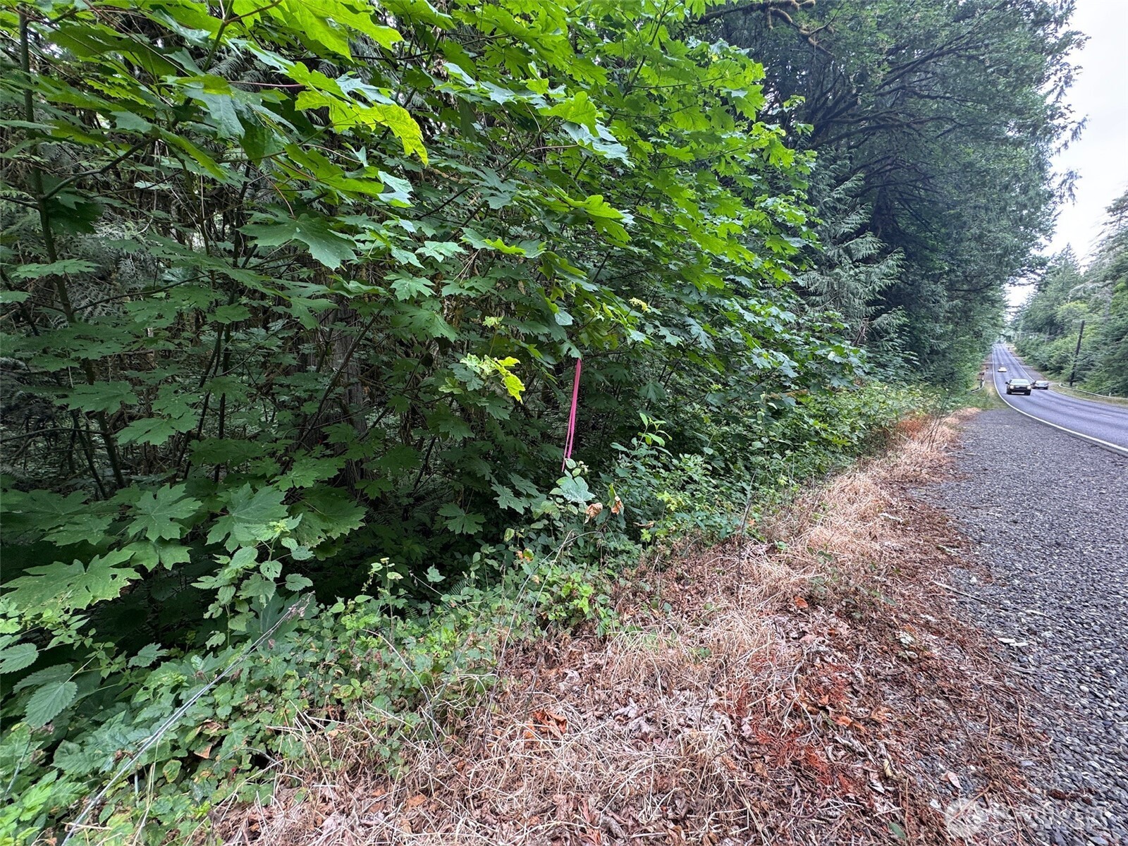 0 Nels Nelson Road Northwest Bremerton, WA 98311 - Photo 13 of 22