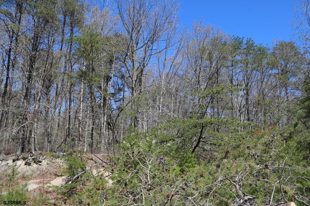 351 Shaws Mill Road Newport, NJ 08345 - Photo 10 of 84