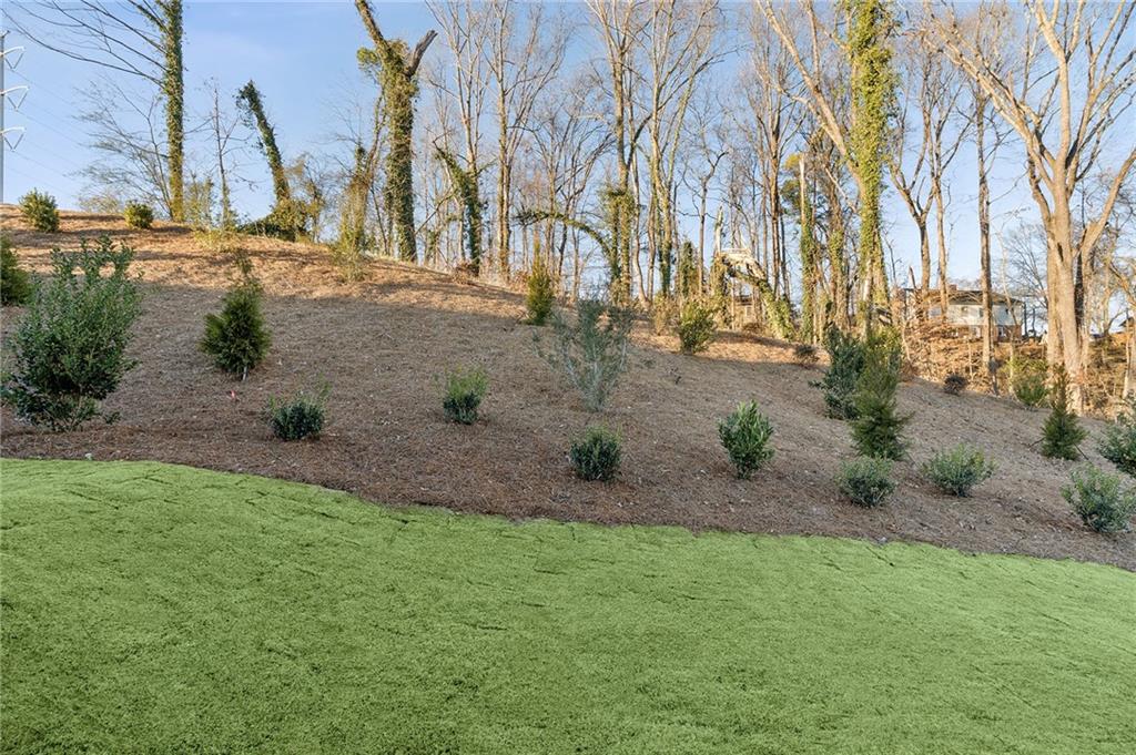 195 Redbud Road Canton, GA 30114 - Photo 14 of 14