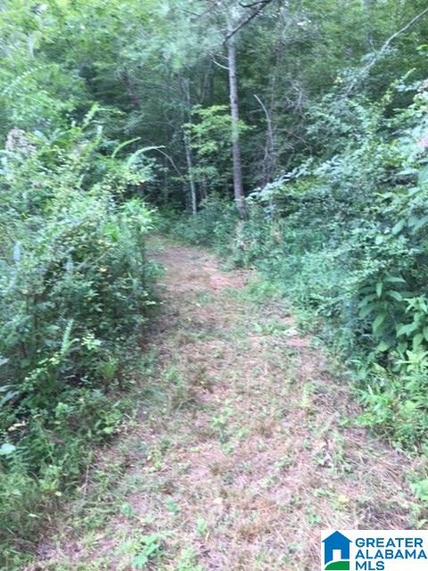 Driggers Road, Unit 33 Lineville, AL 36266 - Photo 2 of 9