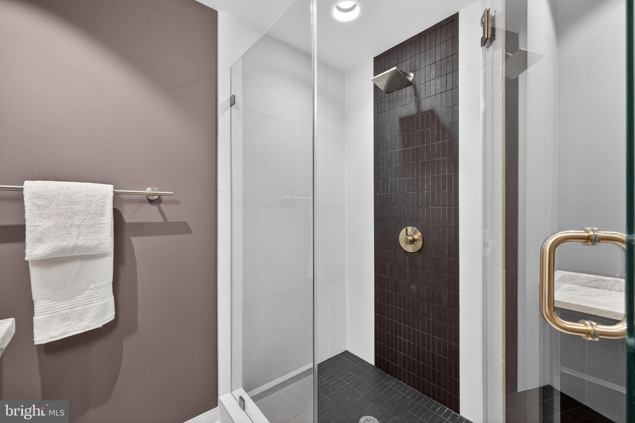 43200 Lighthouse Place Chantilly, VA 20152 - Photo 37 of 47 a bathroom with a shower
