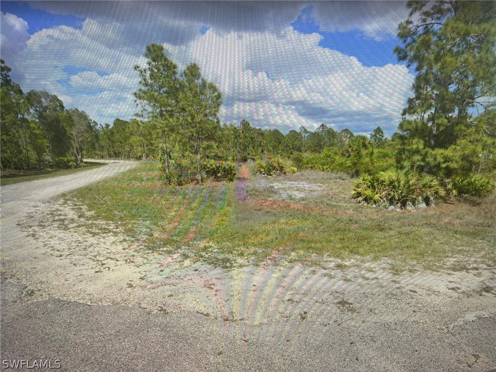 2501 Meadow Road Lehigh Acres, FL 33974 - Photo 3 of 4 a view of a yard with an trees