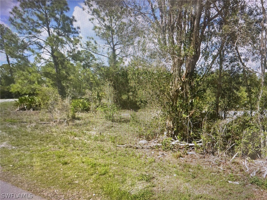 2501 Meadow Road Lehigh Acres, FL 33974 - Photo 4 of 4 a view of a yard with a tree
