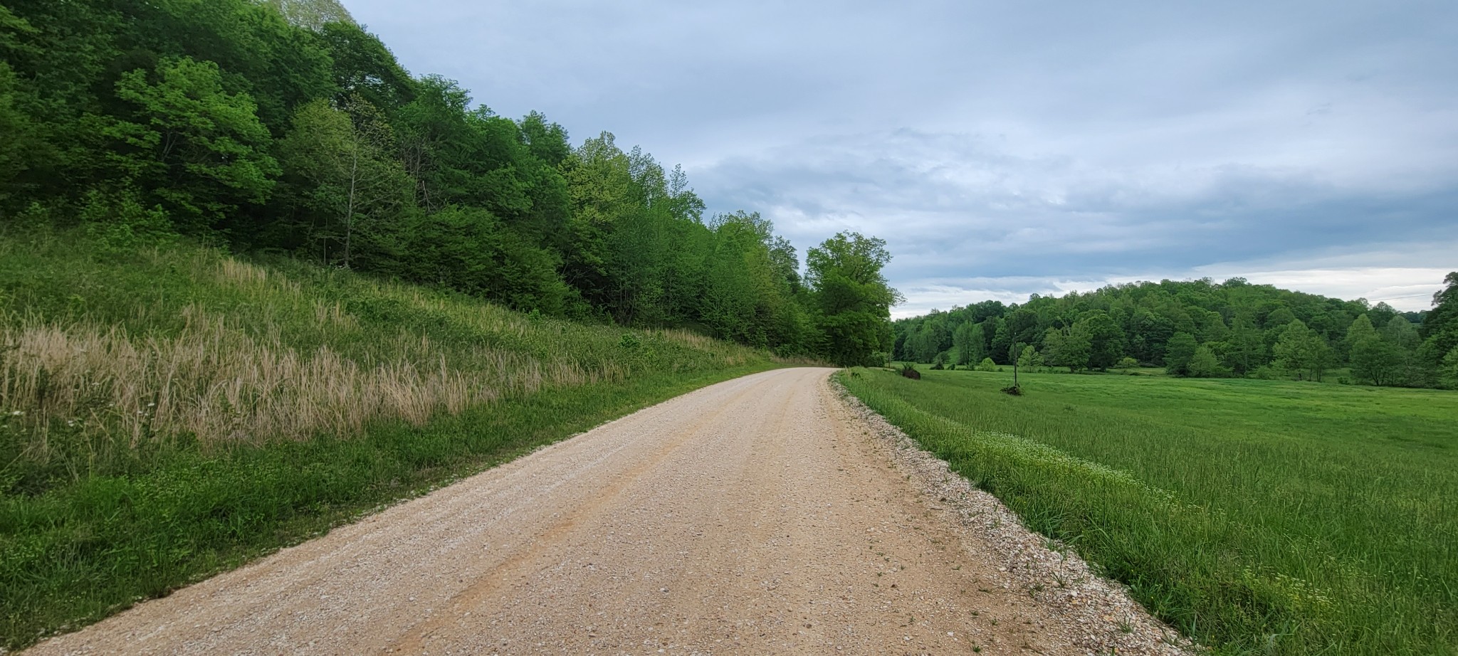0 Jack Saunders Road Waverly, TN 37185 - Photo 11 of 14