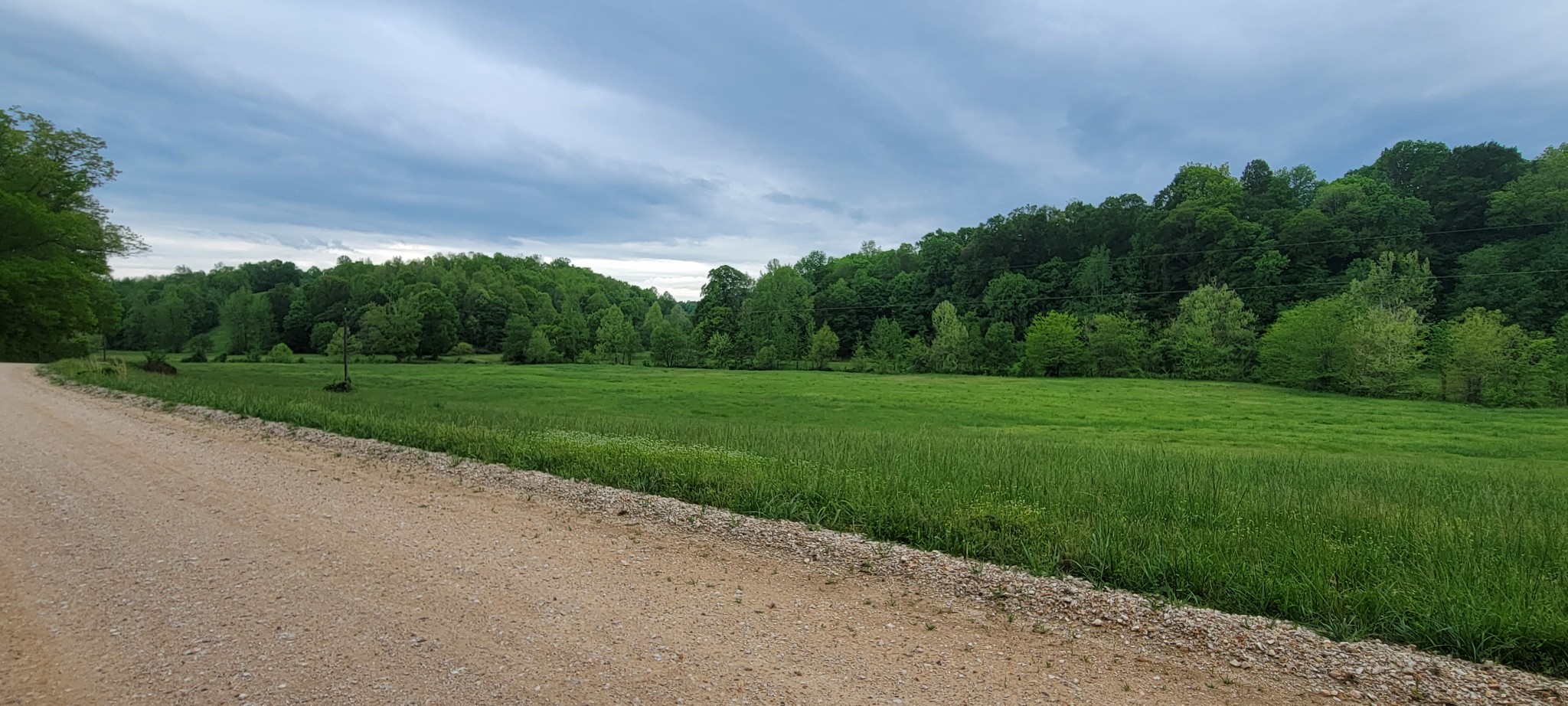 0 Jack Saunders Road Waverly, TN 37185 - Photo 12 of 14