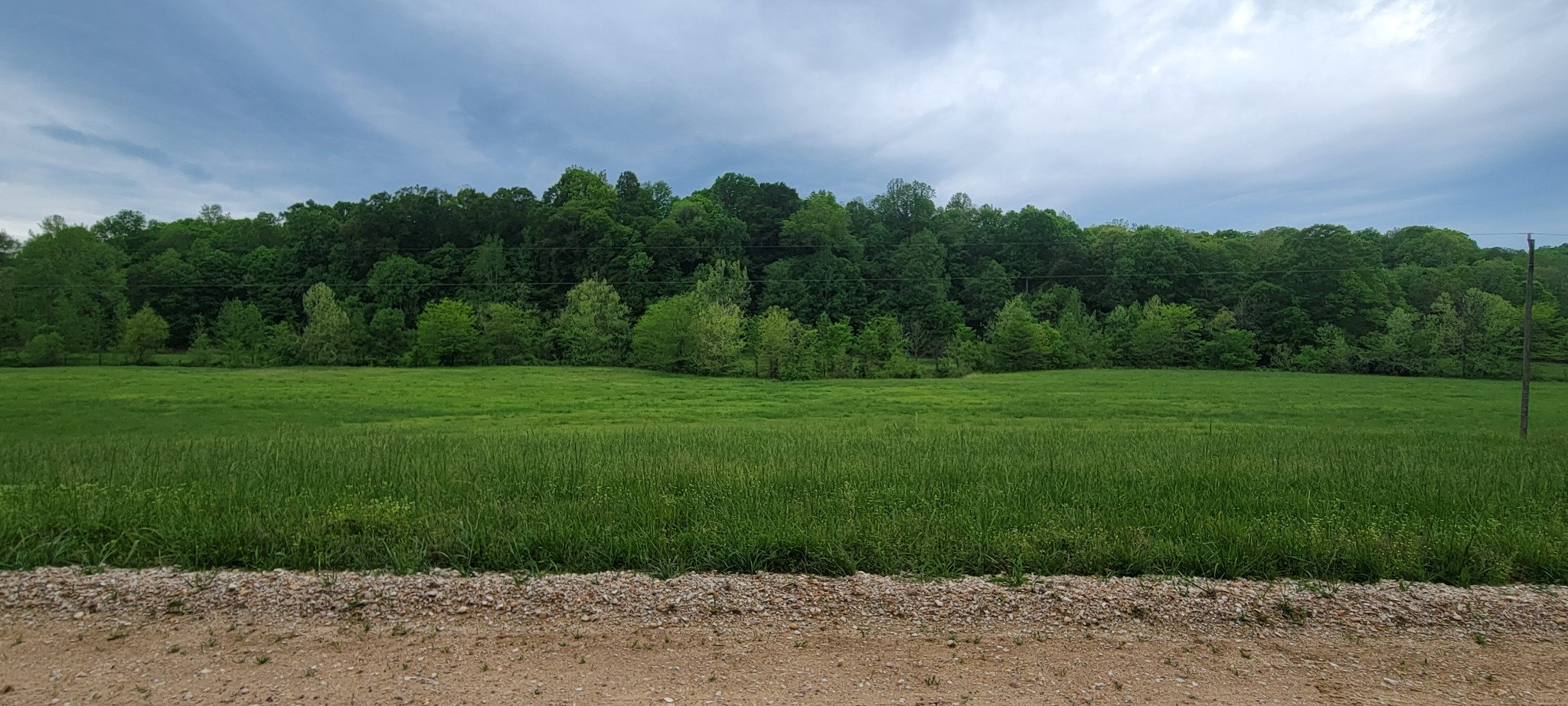 0 Jack Saunders Road Waverly, TN 37185 - Photo 13 of 14
