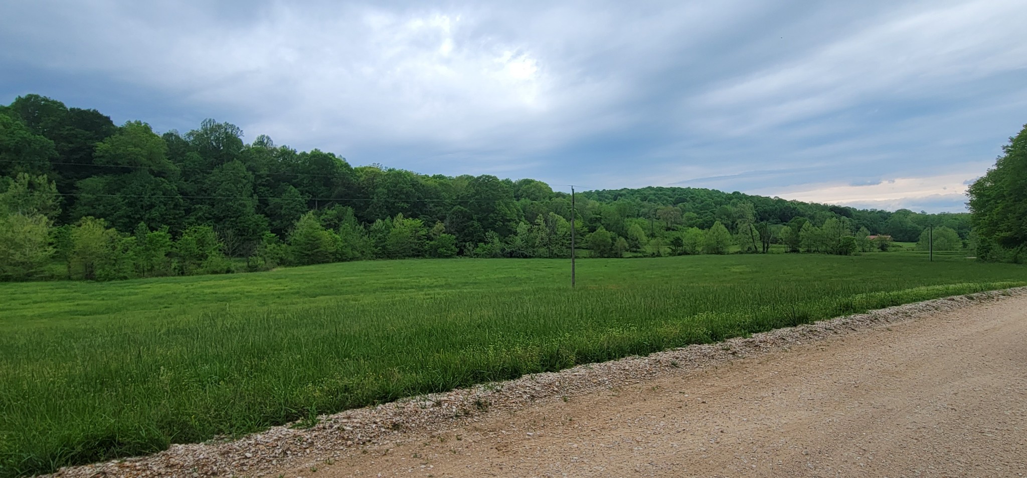 0 Jack Saunders Road Waverly, TN 37185 - Photo 14 of 14