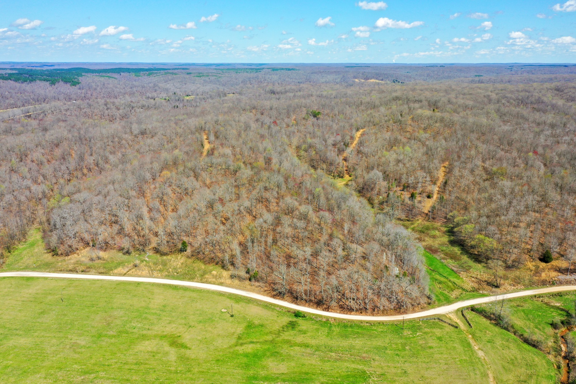 0 Jack Saunders Road Waverly, TN 37185 - Photo 4 of 14