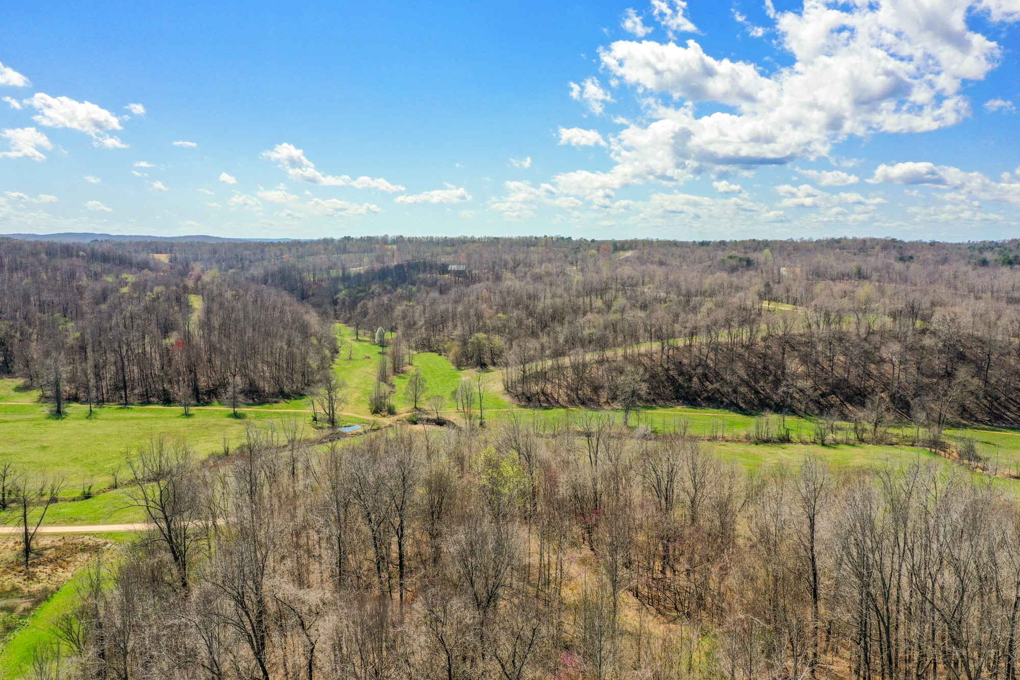 0 Jack Saunders Road Waverly, TN 37185 - Photo 5 of 14