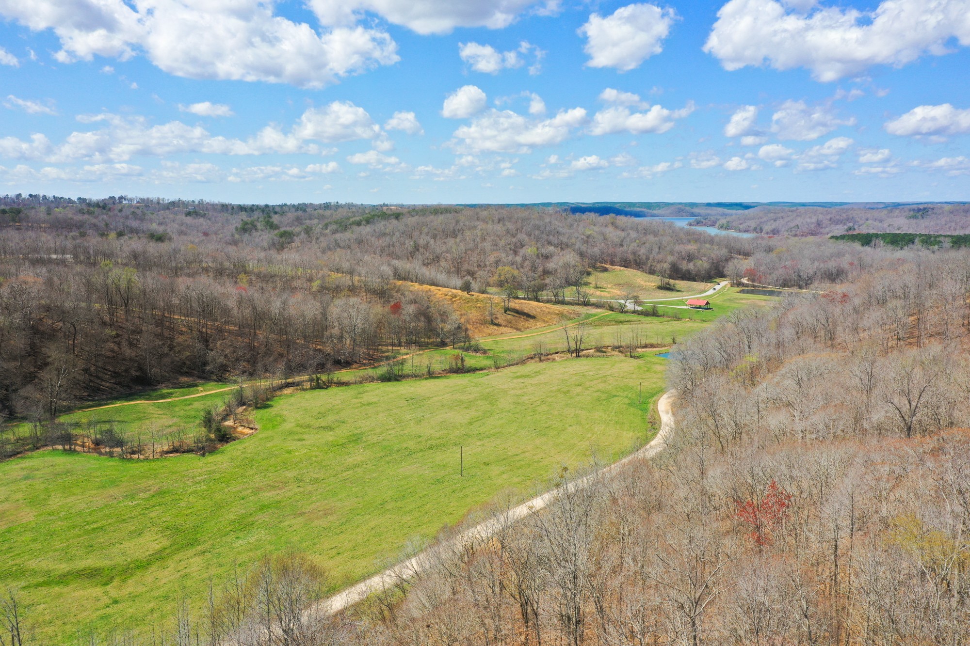 0 Jack Saunders Road Waverly, TN 37185 - Photo 6 of 14