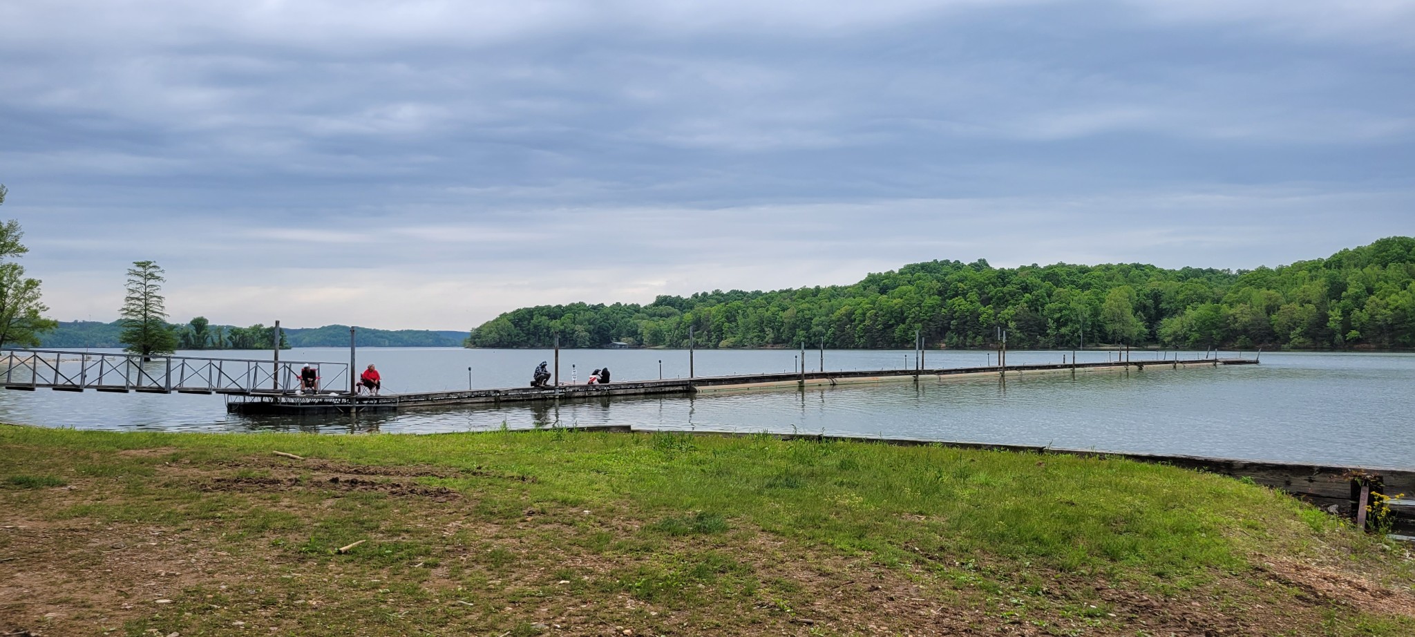 0 Jack Saunders Road Waverly, TN 37185 - Photo 7 of 14