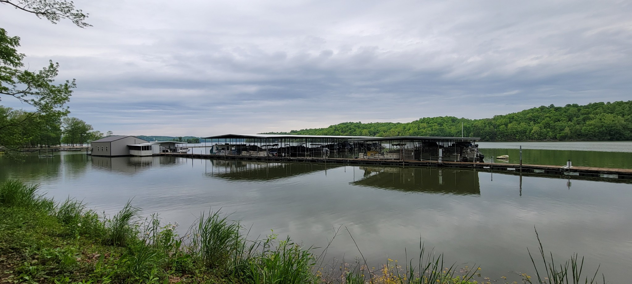 0 Jack Saunders Road Waverly, TN 37185 - Photo 8 of 14