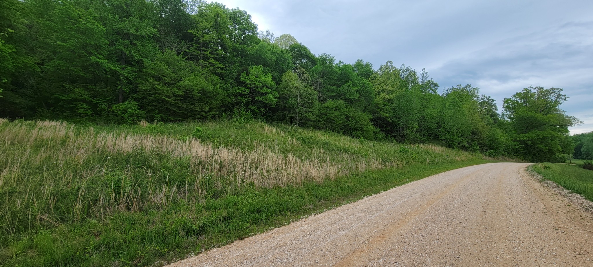 0 Jack Saunders Road Waverly, TN 37185 - Photo 10 of 14