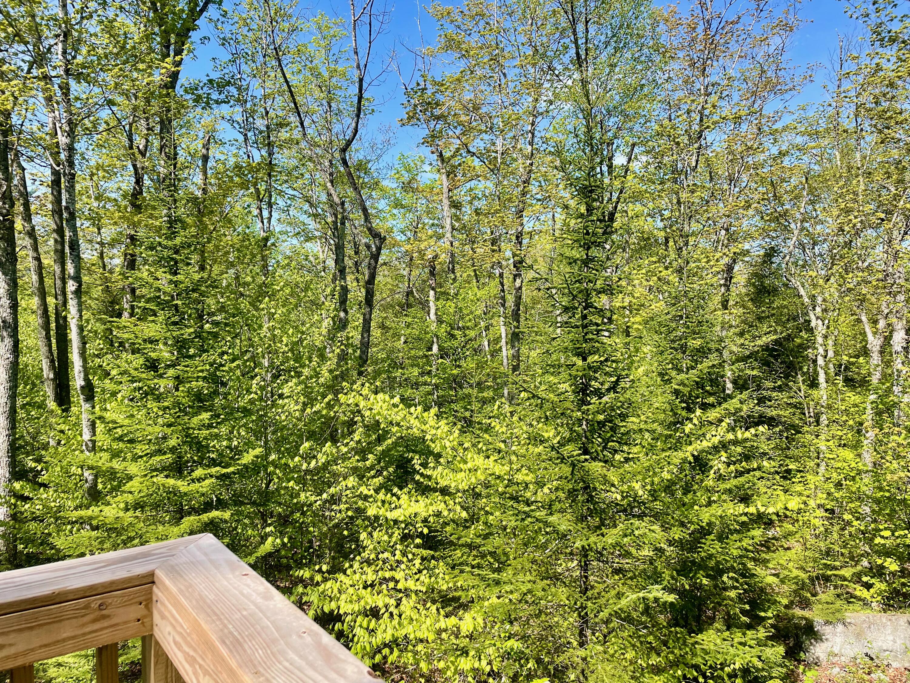 2019 Hillside Road Kingfield, ME 04947 - Photo 26 of 32 IMG_7768