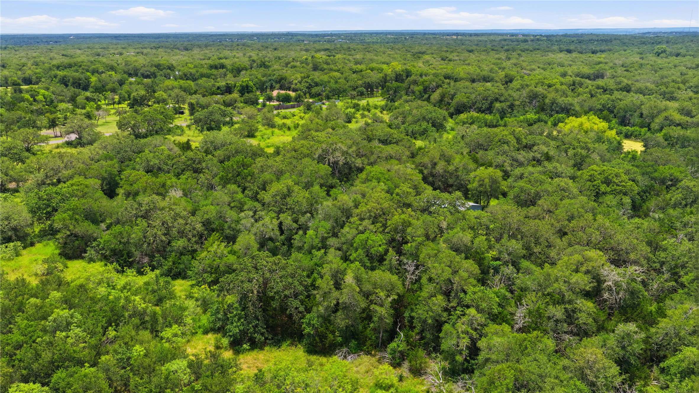 10312 Parsons Road Manor, TX 78653 - Photo 23 of 26 A verdant canopy of mature trees blankets this serene, undeveloped acreage.