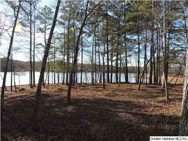 229 Hanson Road Wedowee, AL 36278 - Photo 23 of 27