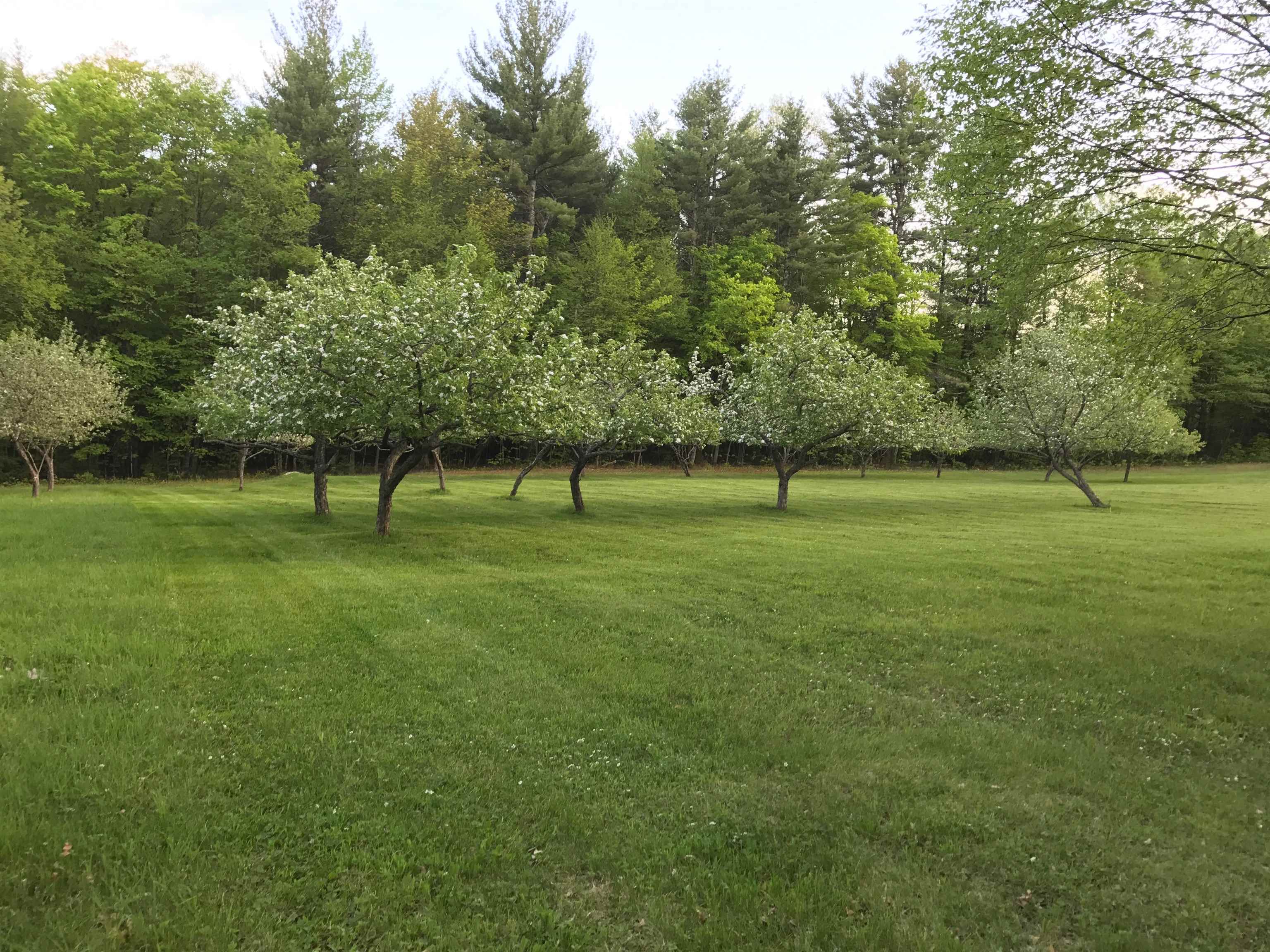 236 Miller Road Brattleboro, VT 05301 - Photo 12 of 16