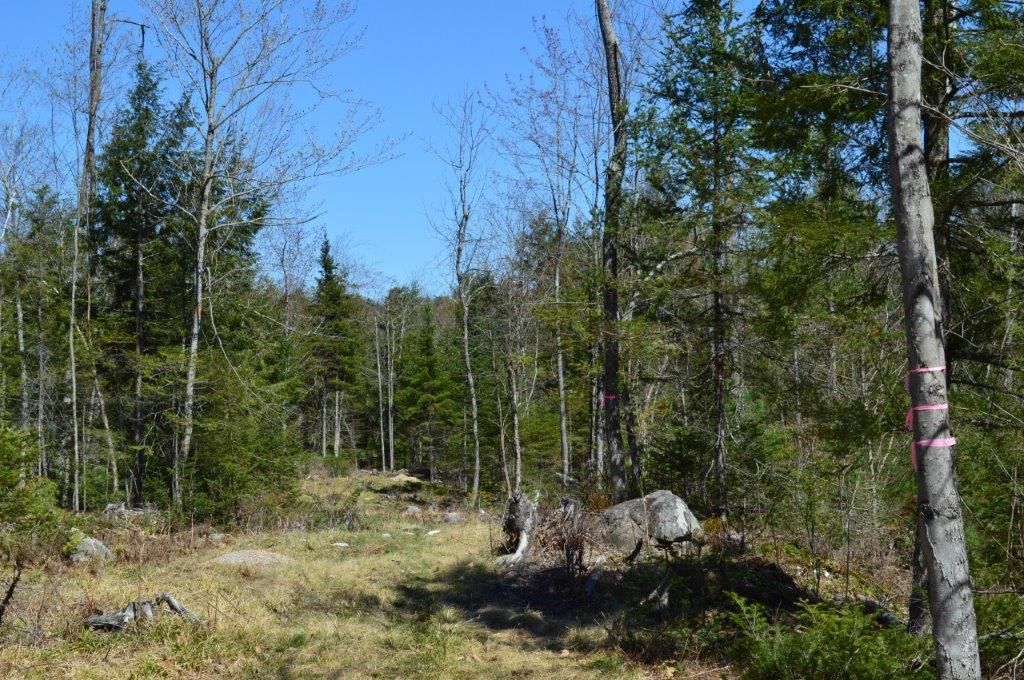 205 Academy Road Monmouth, ME 04259 - Photo 4 of 16 DSC_0036