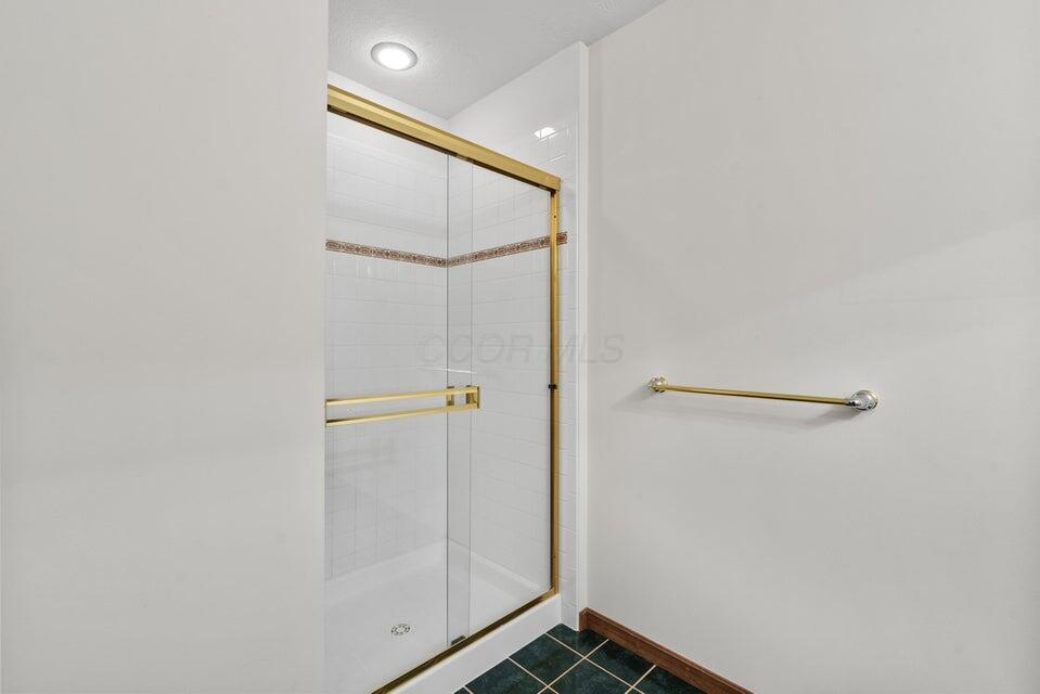 9909 Hoover Woods Road Galena, OH 43021 - Photo 33 of 50 Full Bath
