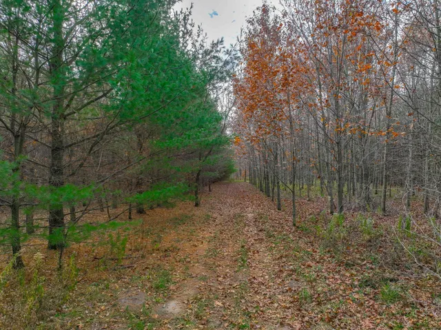 $150,000 | Xxx Lot#19 Xxx Avenue, Hammond, WI 54015