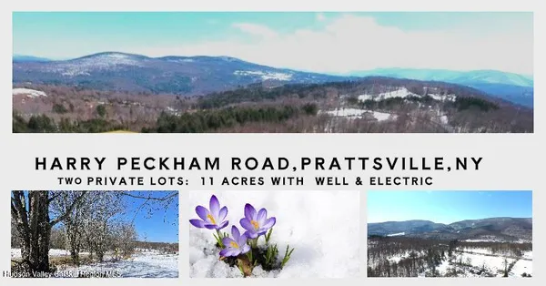 $199,000 | 167 Harry Peckham Road, Unit 167 HARRY PECKHAM, Prattsville, NY 12468