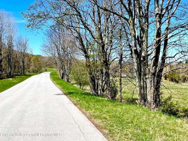 a view of a field with a tree