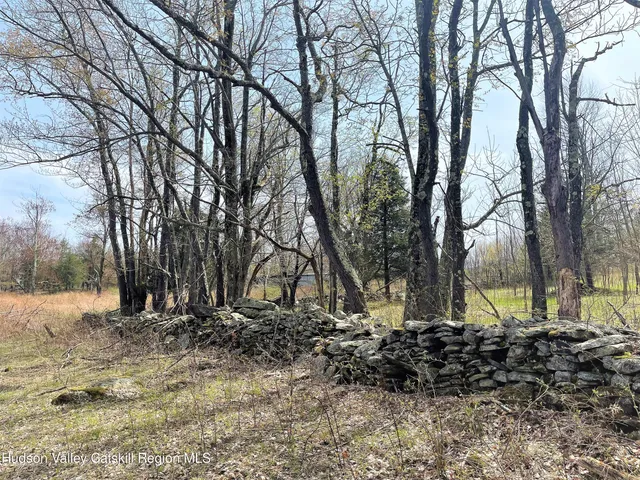 a view of lawn chairs and yard