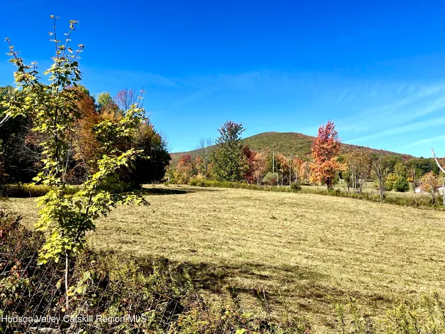 a view of a yard with a mountain view