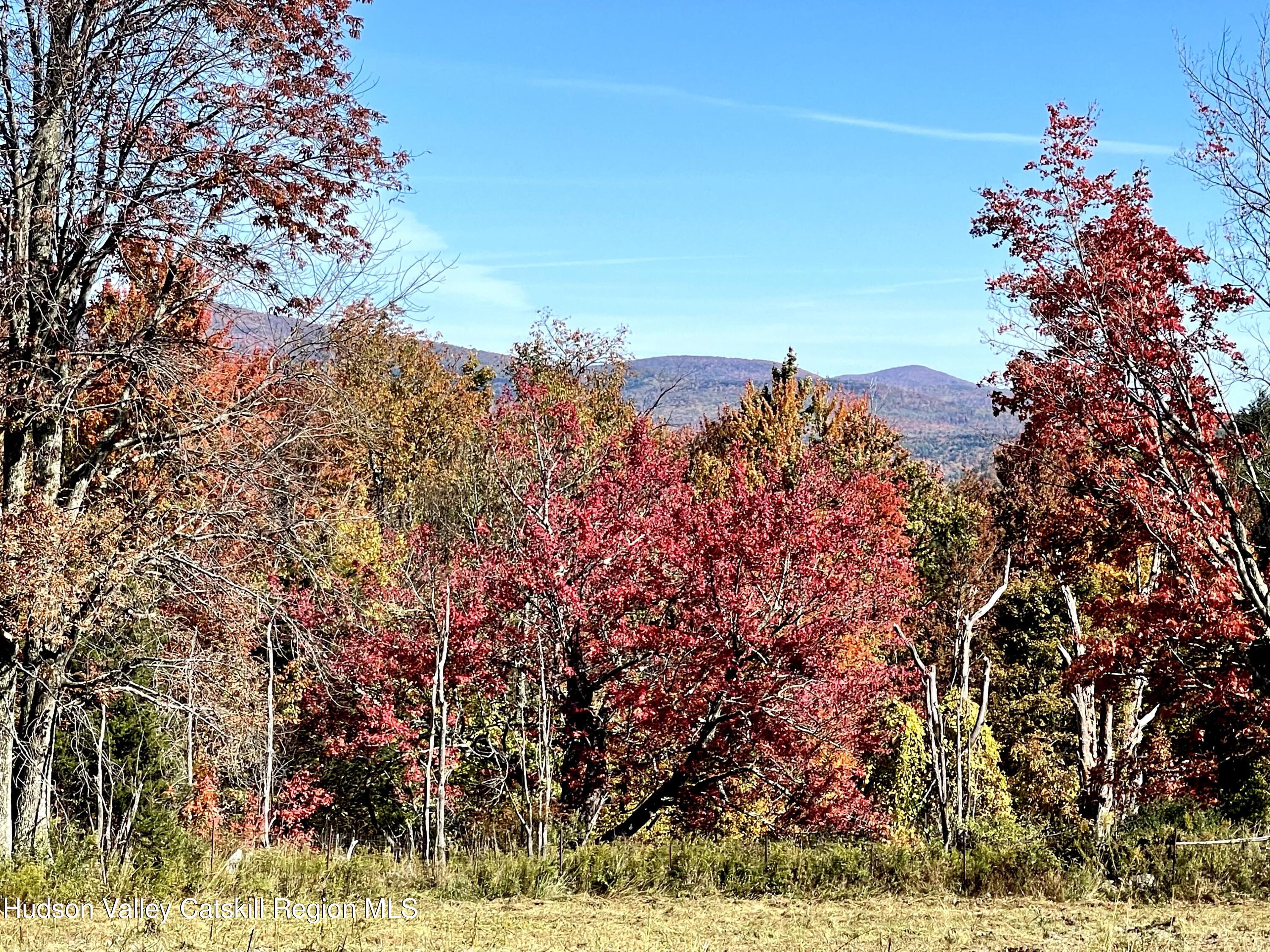 167 Harry Peckham Road, Unit 167 HARRY PECKHAM Prattsville, NY 12468 - Photo 9 of 17 a view of a yard
